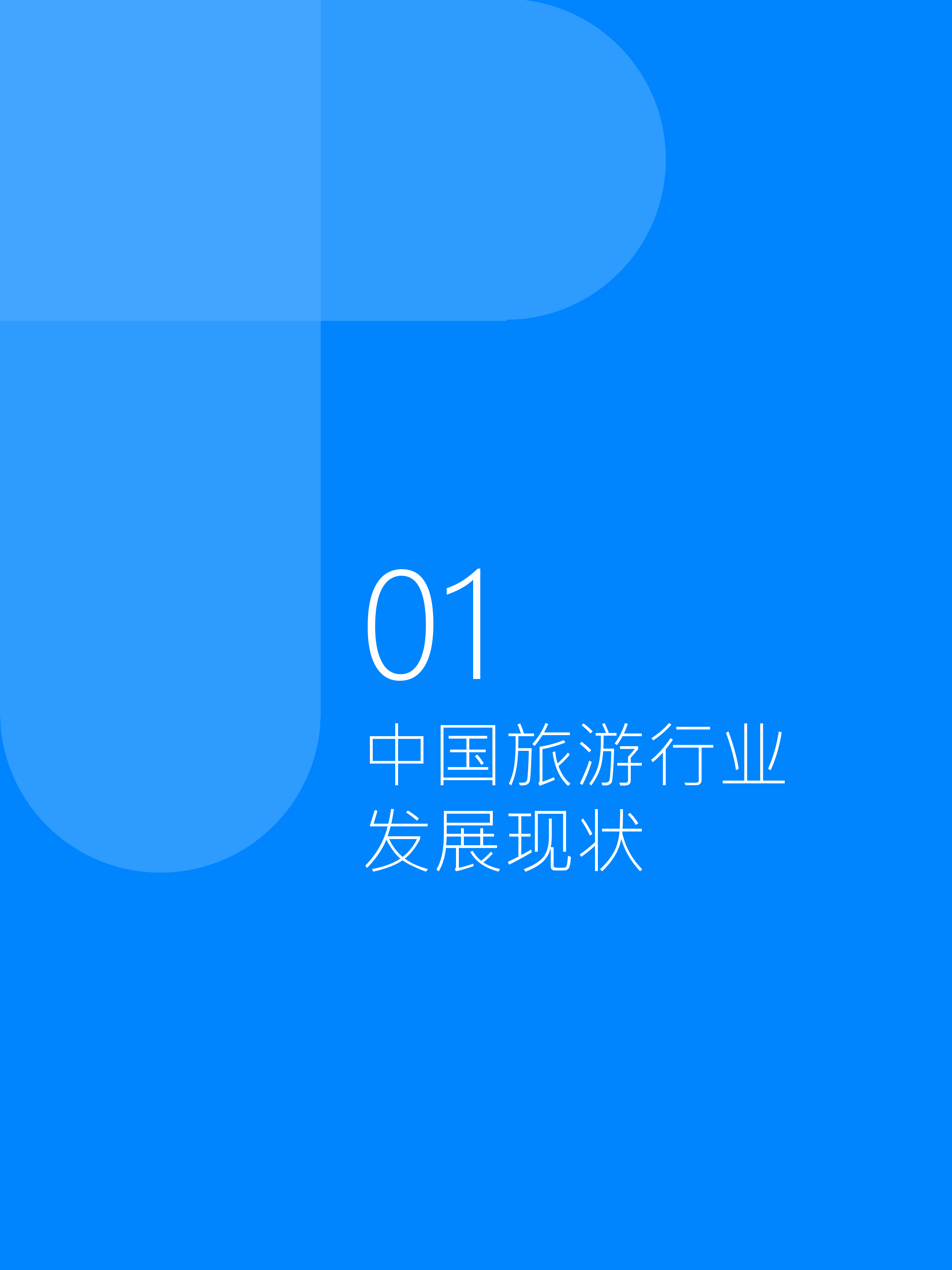 Fastdata极数2024中国乡村旅游发展白皮书43页